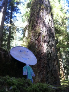 Flat Mark stands beneath a very big tree in Cathedral Grove on Vancouver Island.